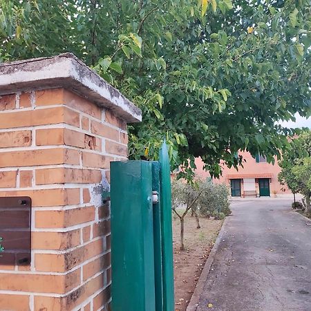 Eco House San Michele Pansiyon Borgo San Michele  Dış mekan fotoğraf